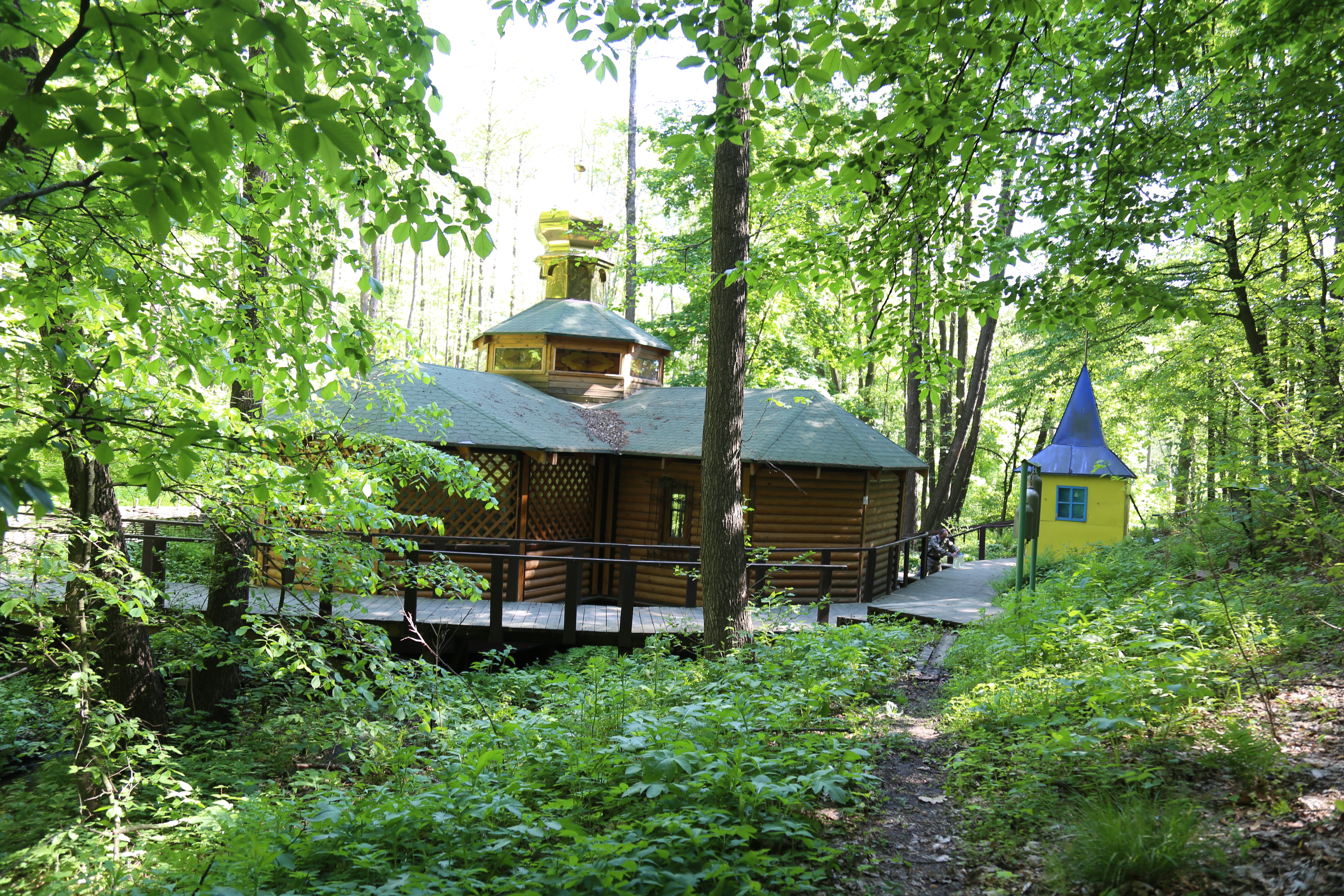 ���������  �������