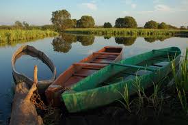 ��������� ���� ��������� ������ �� ��.