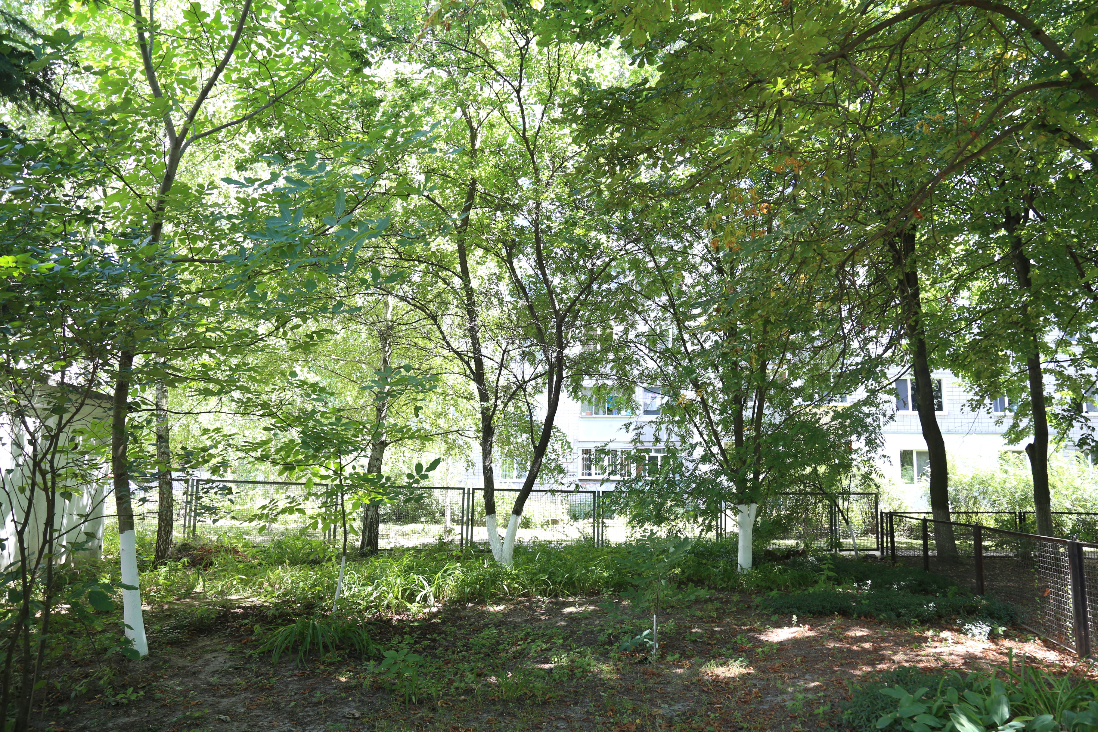 ��������� �������� �������� ��� VII - VI ��. �� �.�.